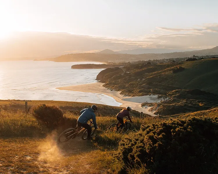 Mountain Biking Dunedin