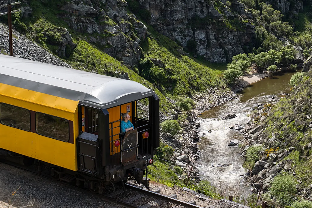 Dunedin Railways 