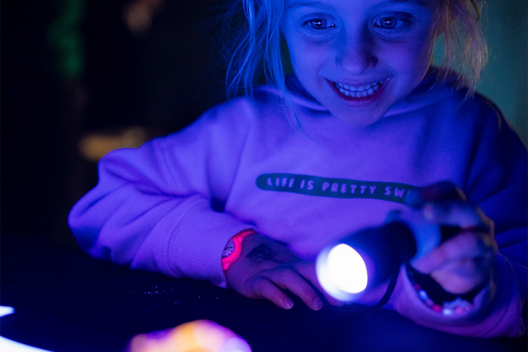 International Science Festival