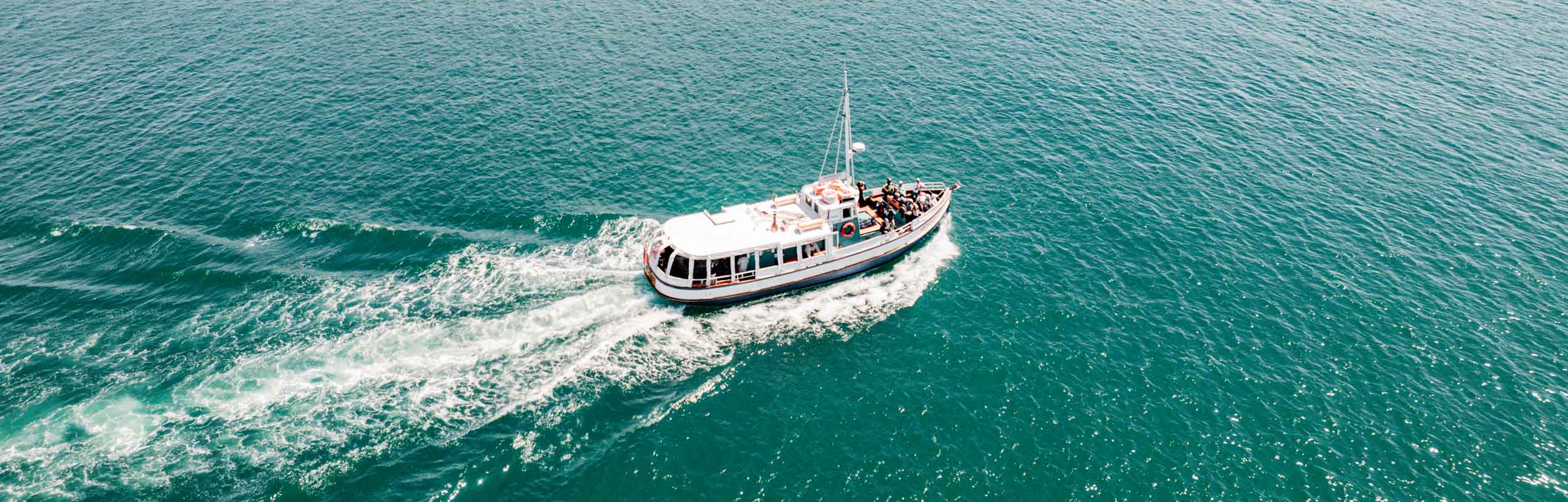 Online Training Opportunities