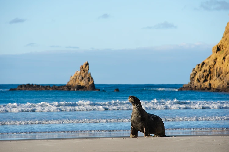 Clearwater Wildlife Tours