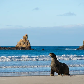 Clearwater Wildlife Tours