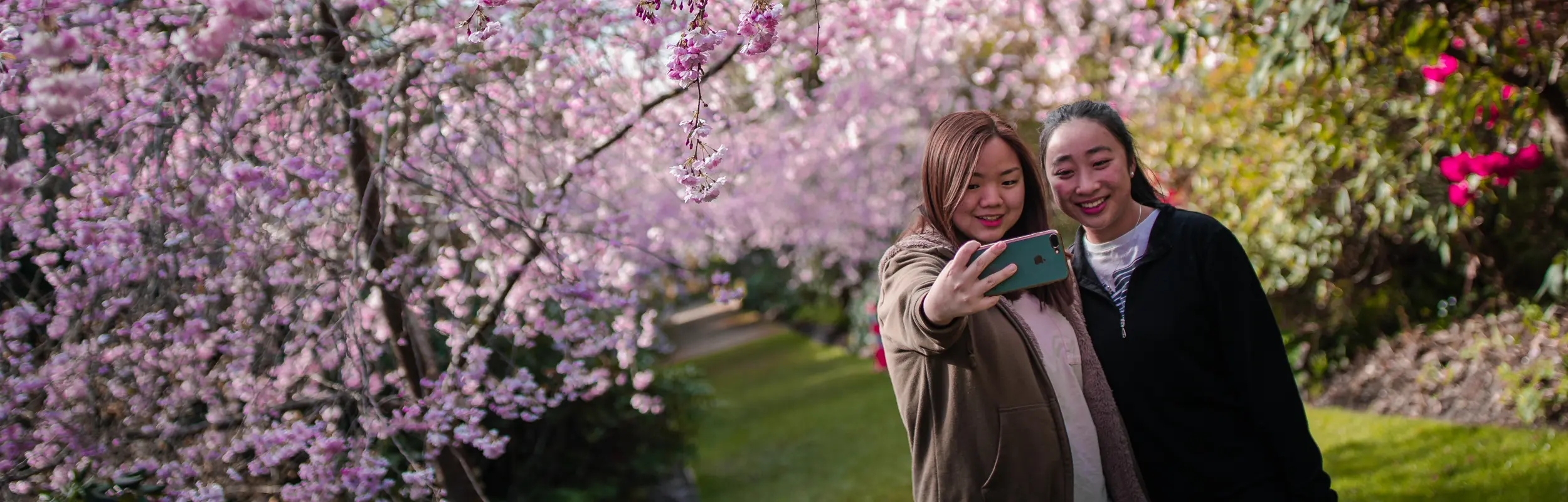 Ambassador Programme