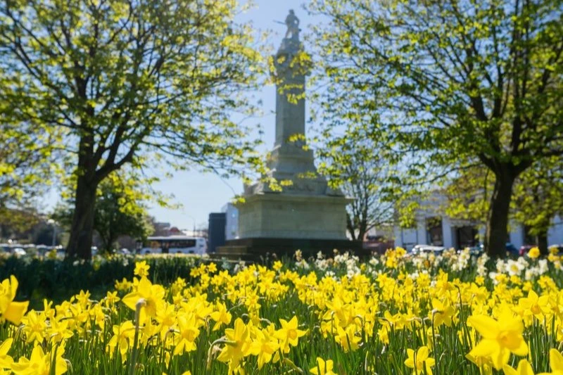 Yellow daffodils spring in the foreground in front of a monument.  