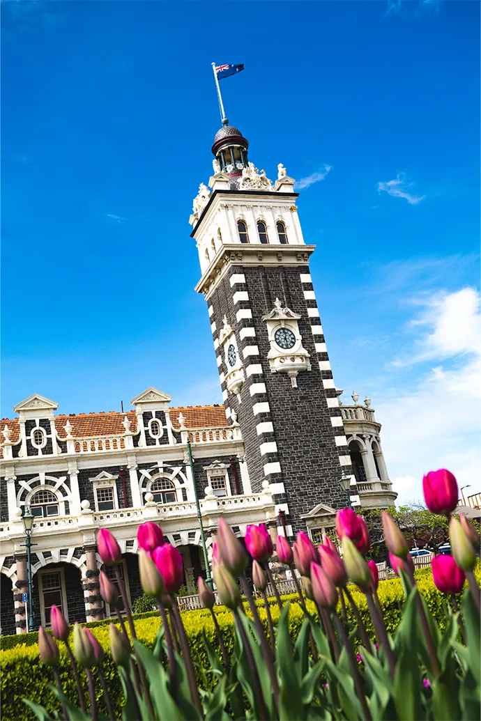 Taieri Gorge Train 