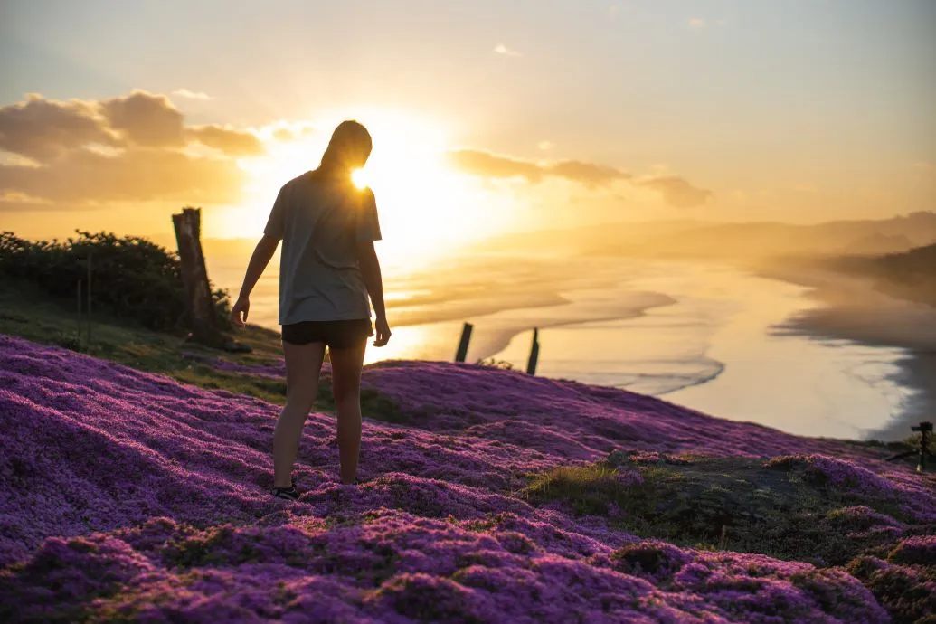 A teenage girl walks over purple flowers during sunset at Blackhead Beach.