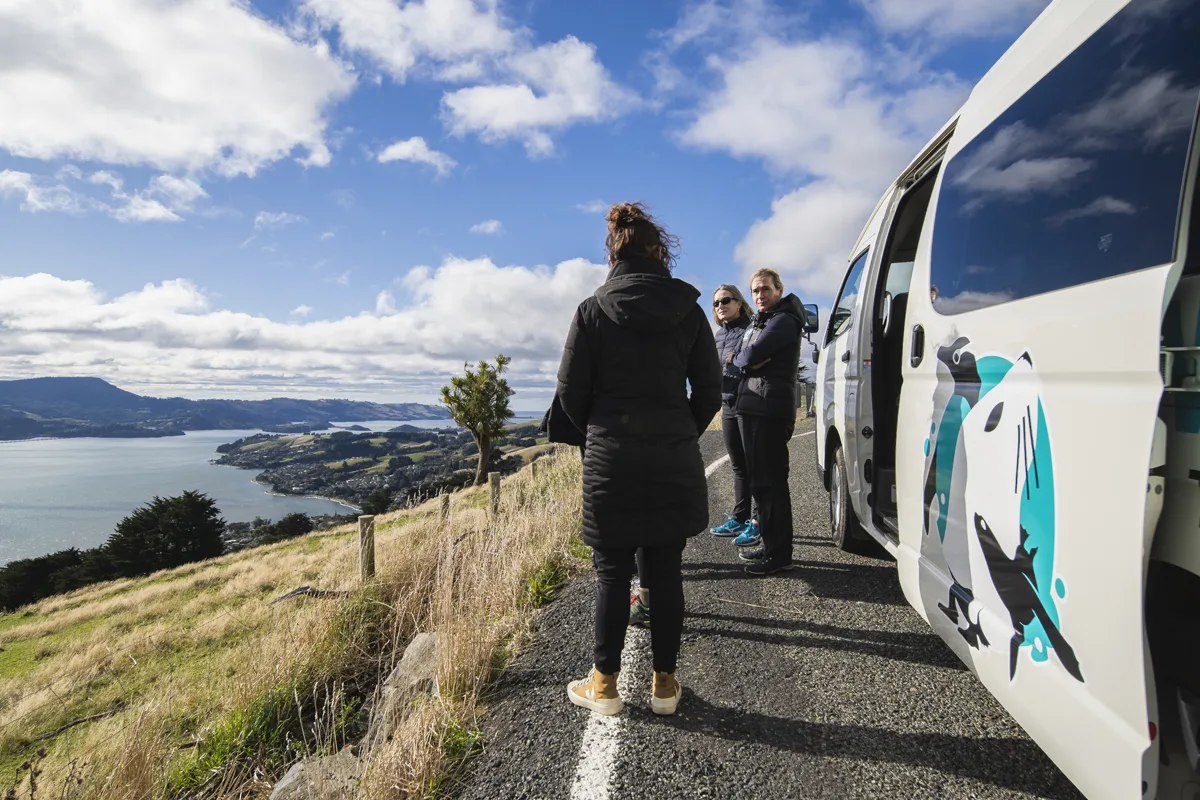 Getting to and in around the city