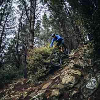 Signal Hill Rock Garden