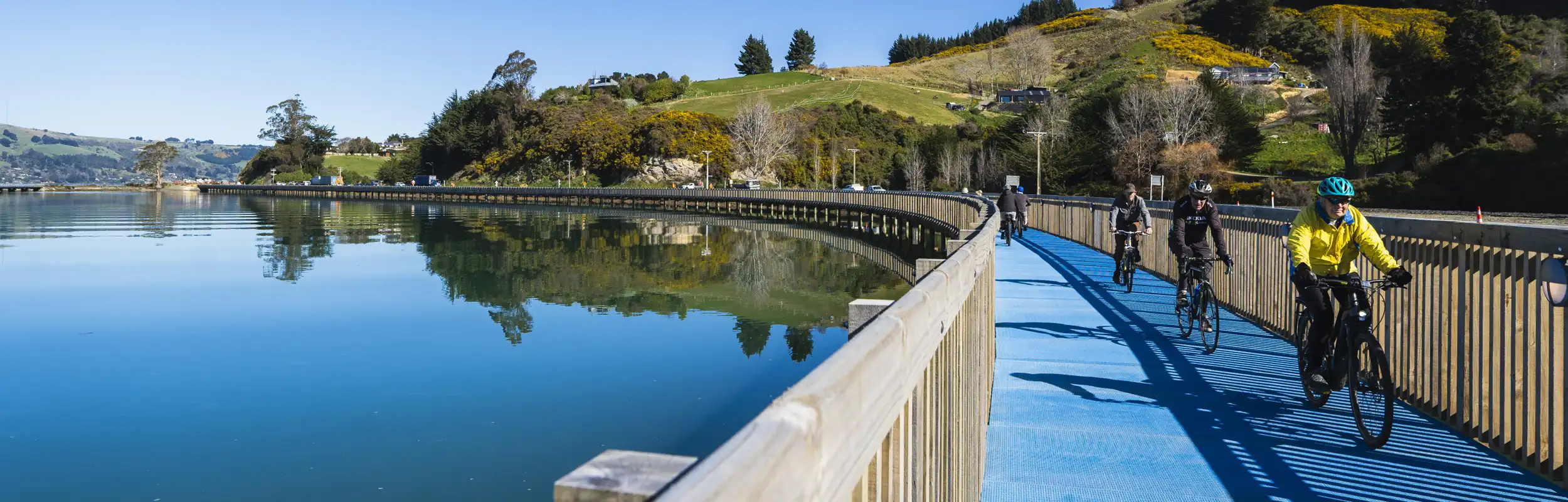 The Insiders’ Guide to Te Aka Ōtākou