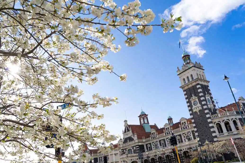 Blossoms bloom outside the Dunedin Railway Station.