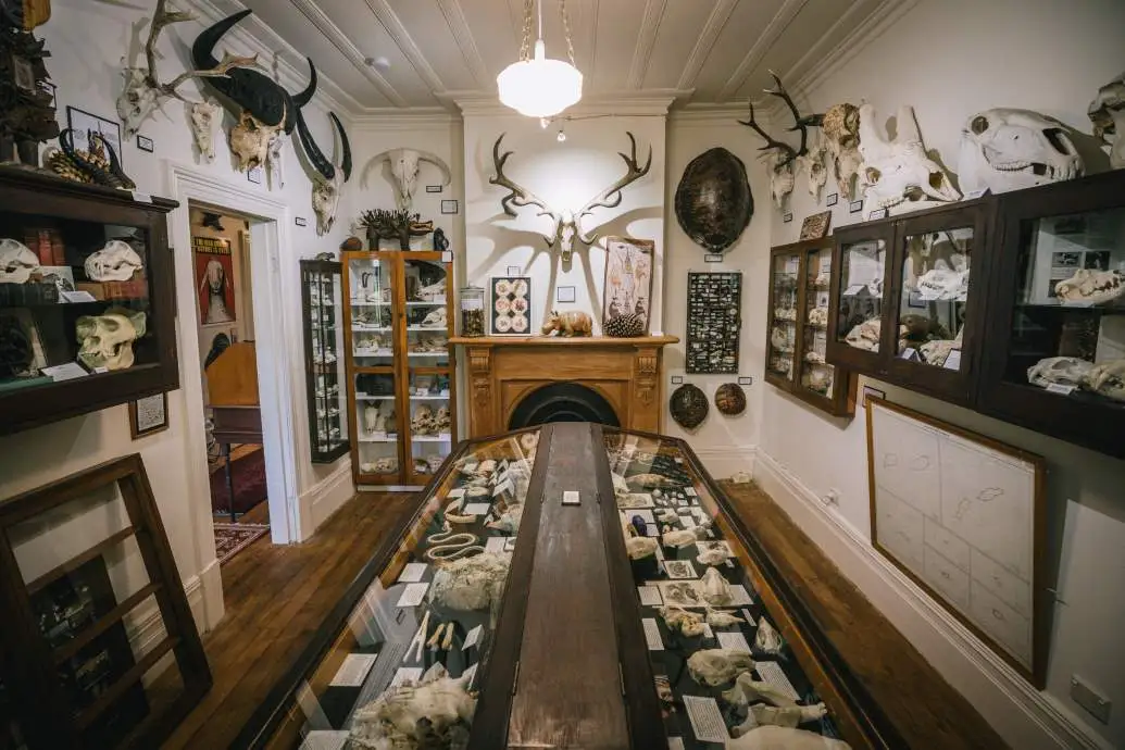 The collection at the museum of natural mystery.