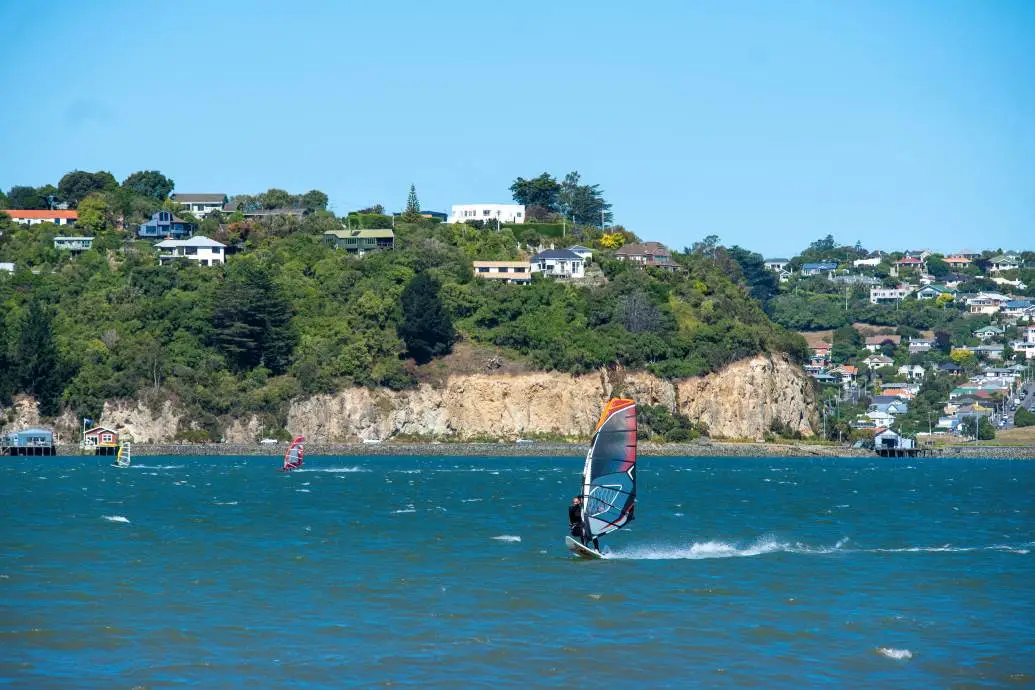 A windsurfer on the Otago Harbour.