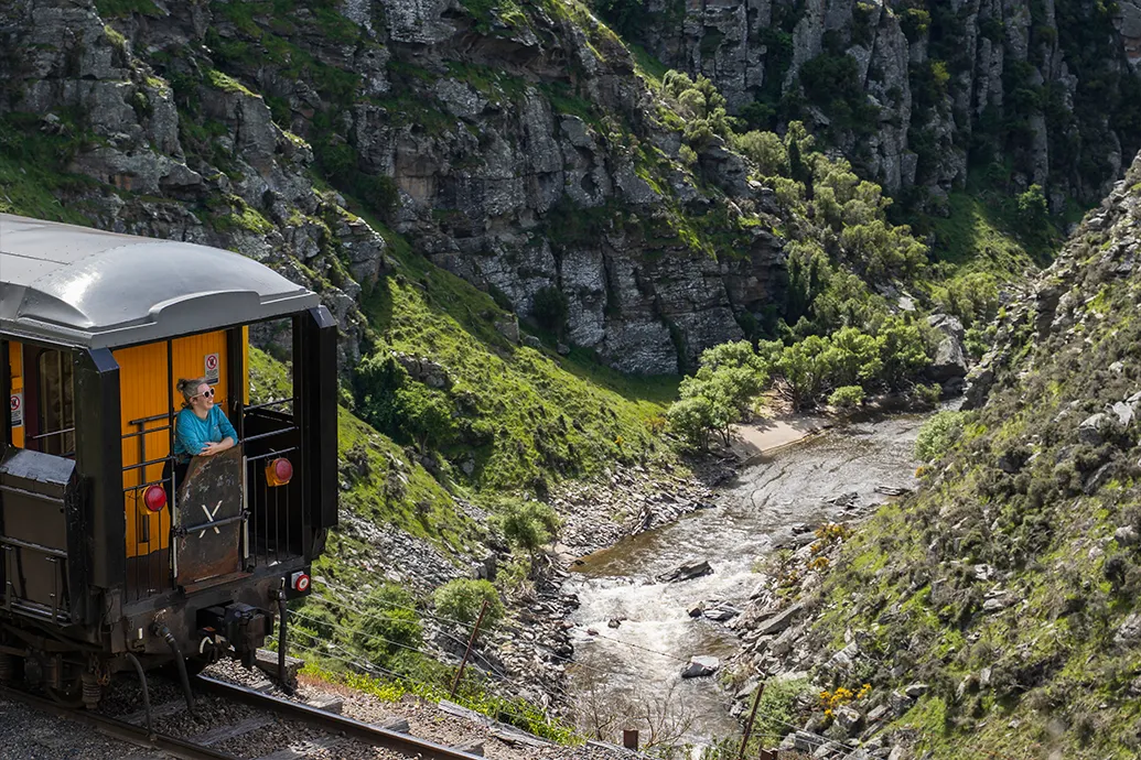 Taieri Gorge Train 