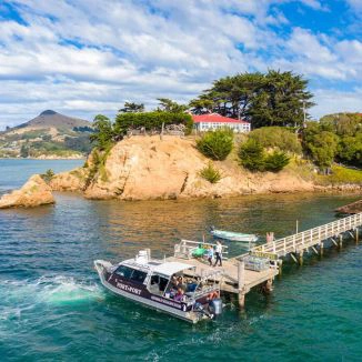 Quarantine Island with Port to Port Cruises