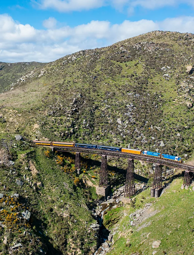 Taieri Gorge Train 