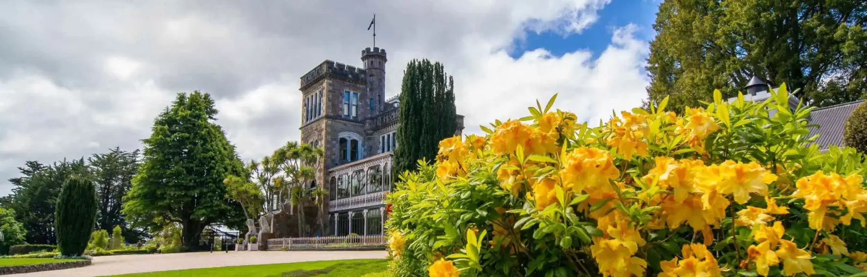 Larnach Castle is seen in the background behind golden blooming azaleas.