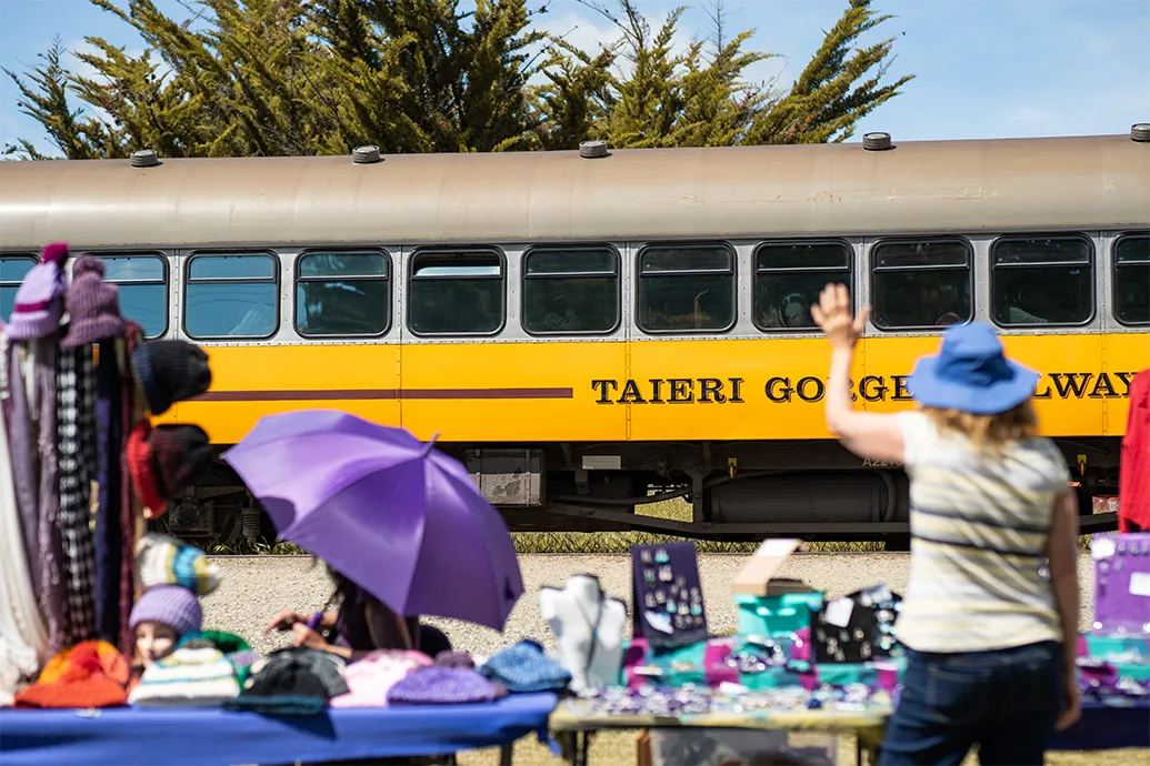 Taieri Gorge Train 