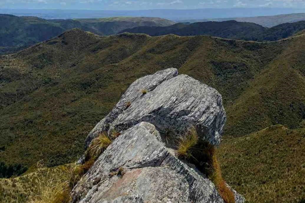 A view from the Silverpeaks track