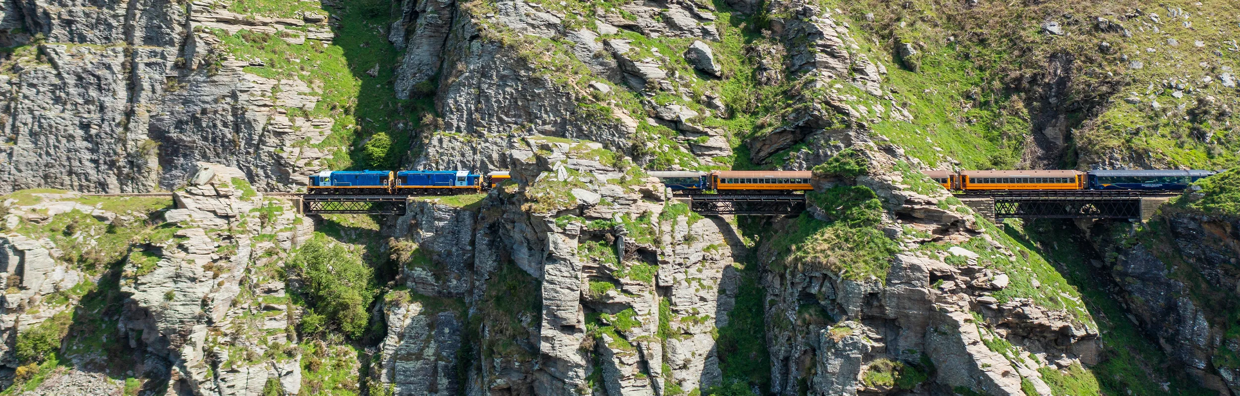 Taieri Gorge Train 