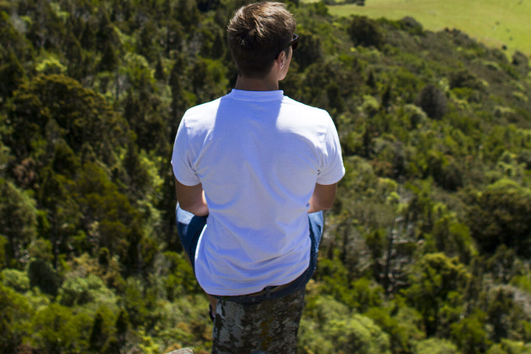 The Organ Pipes