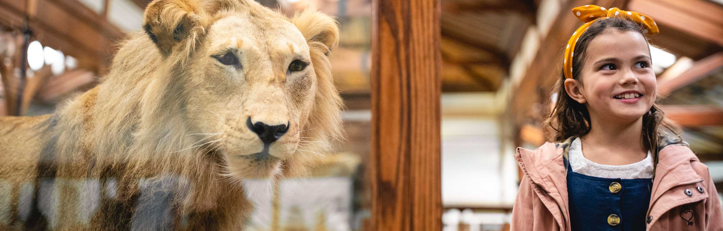 Sneaky school holiday learning