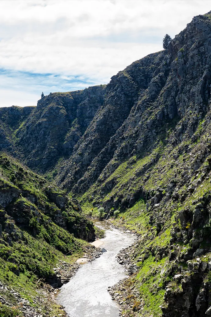 Taieri Gorge Train - Ōtepoti | Dunedin New Zealand official website