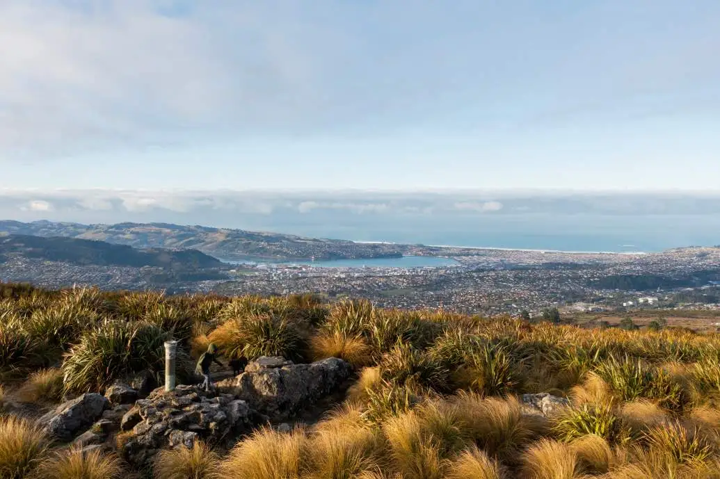 An aerial view of the Flagstaff Track with Dunedin city in the background.