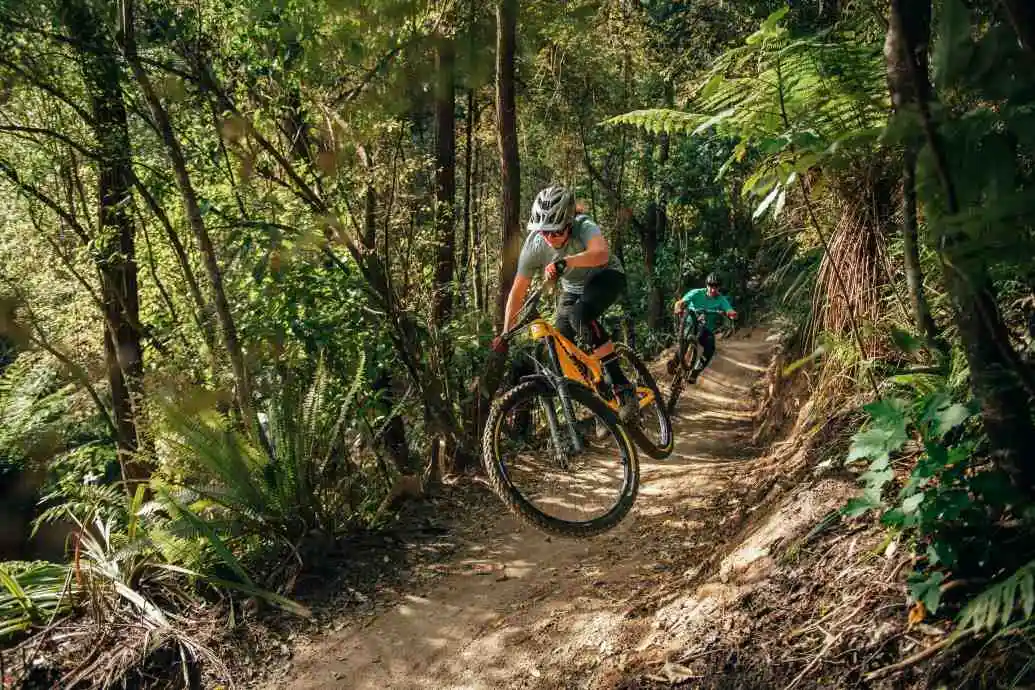 Mountain bikers on Signal Hill track.