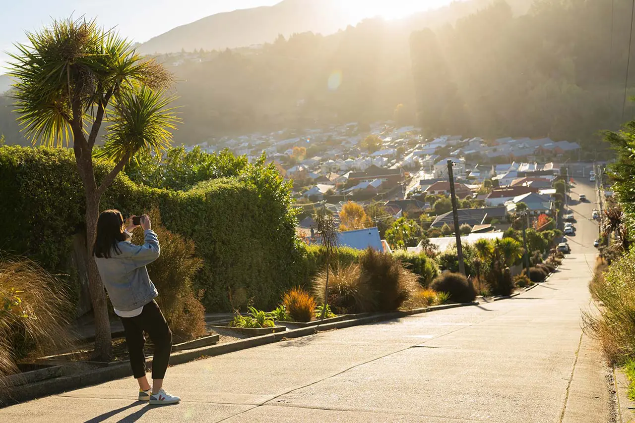 Dunedin Visitor Industry Update June 2026