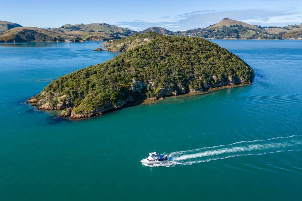 Dunedin Water Taxis and Tours