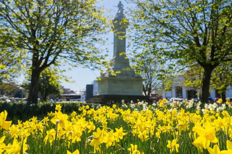 Daffodils bloom in front of a monument.