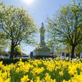 Daffodils bloom in front of a monument.