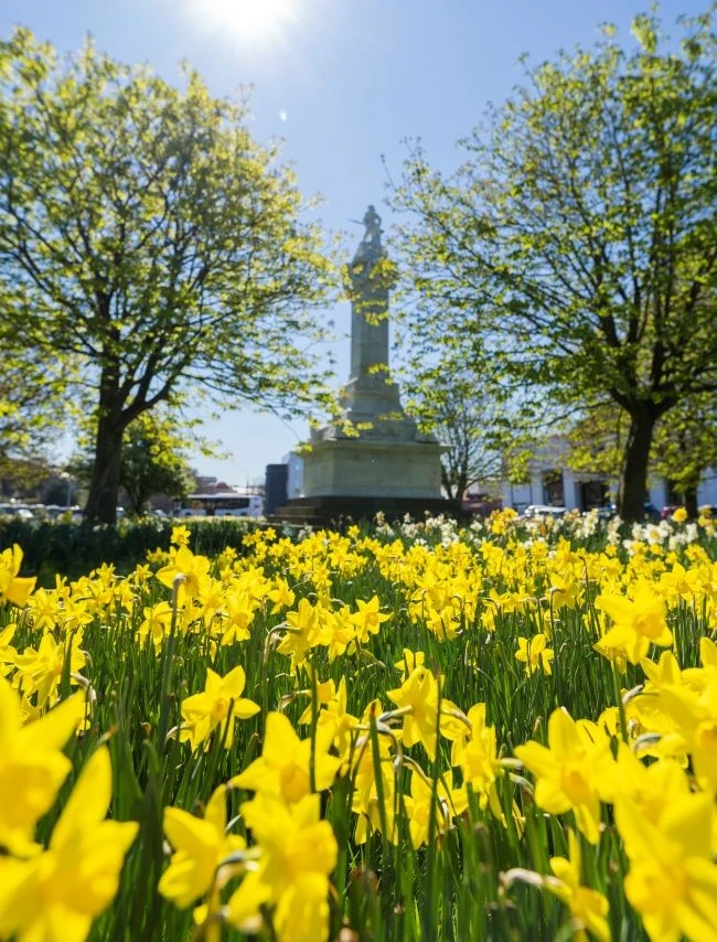 Daffodils bloom in front of a monument.