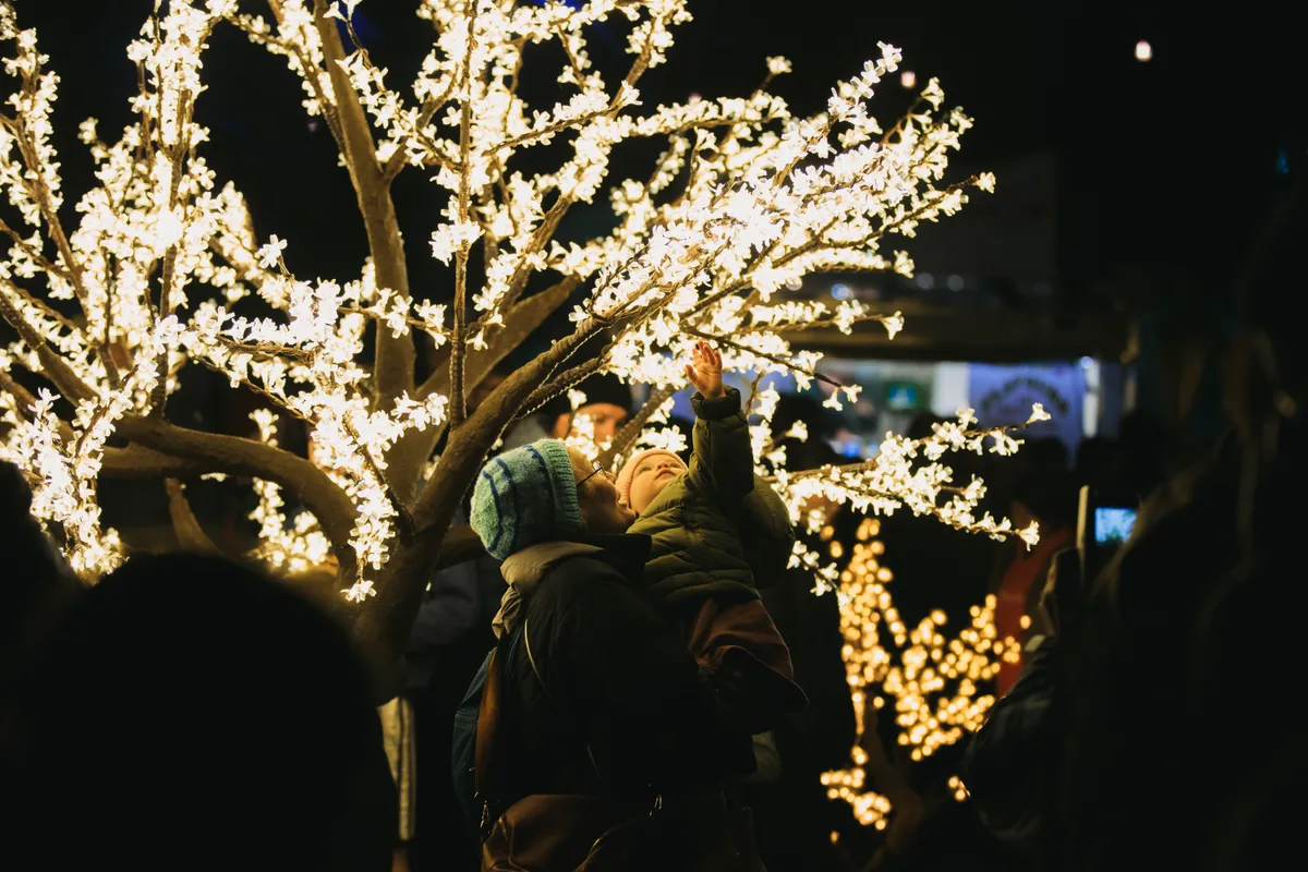Fairy Lights 