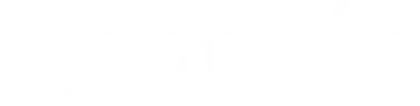 DunedinNZ logo