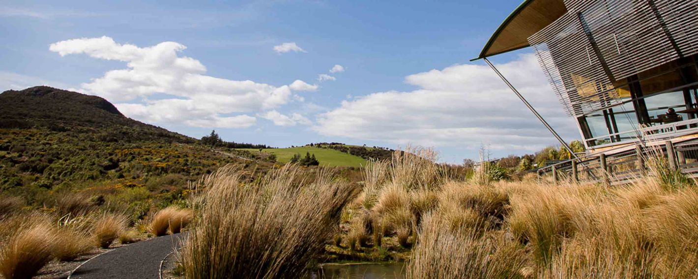 Orokonui Ecosanctuary