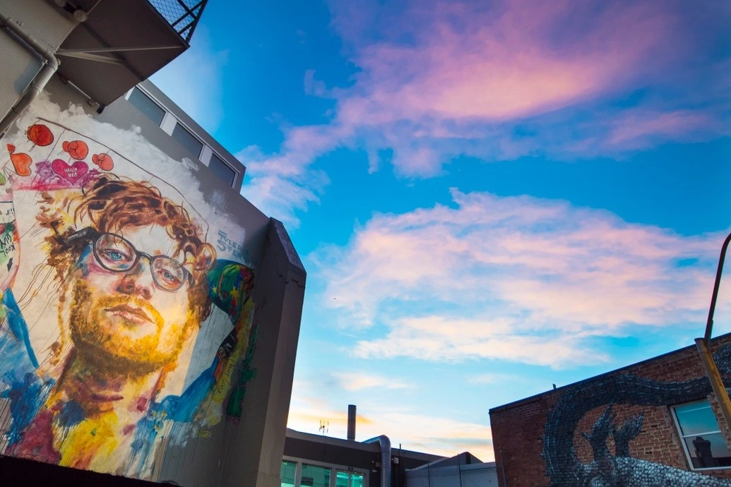 Street Art Trail Ed Sheeran A watercolour mural of music artist Ed Sheeran on a wall to the left and another mural of a tuatara to the bottom right, underneath a twilight sky.
