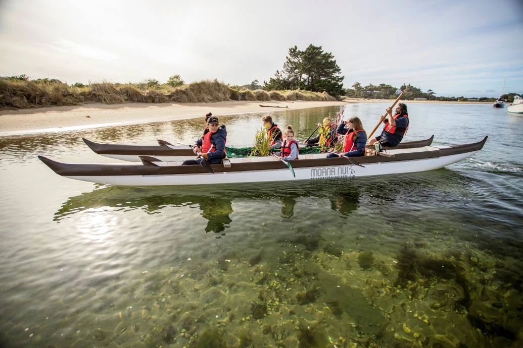 Karitane Maori Tours People in Iife jackets ride a double-hulled waka in shallow water towards the beach.
