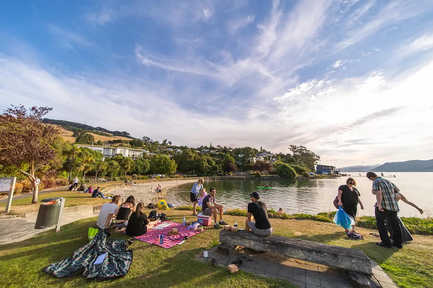 Macandrew Bay Summer Macandrew Bay Summer