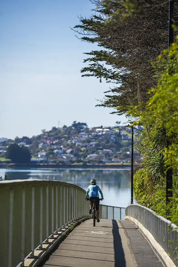 Te Ara Moana vert 2 Te Ara Moana