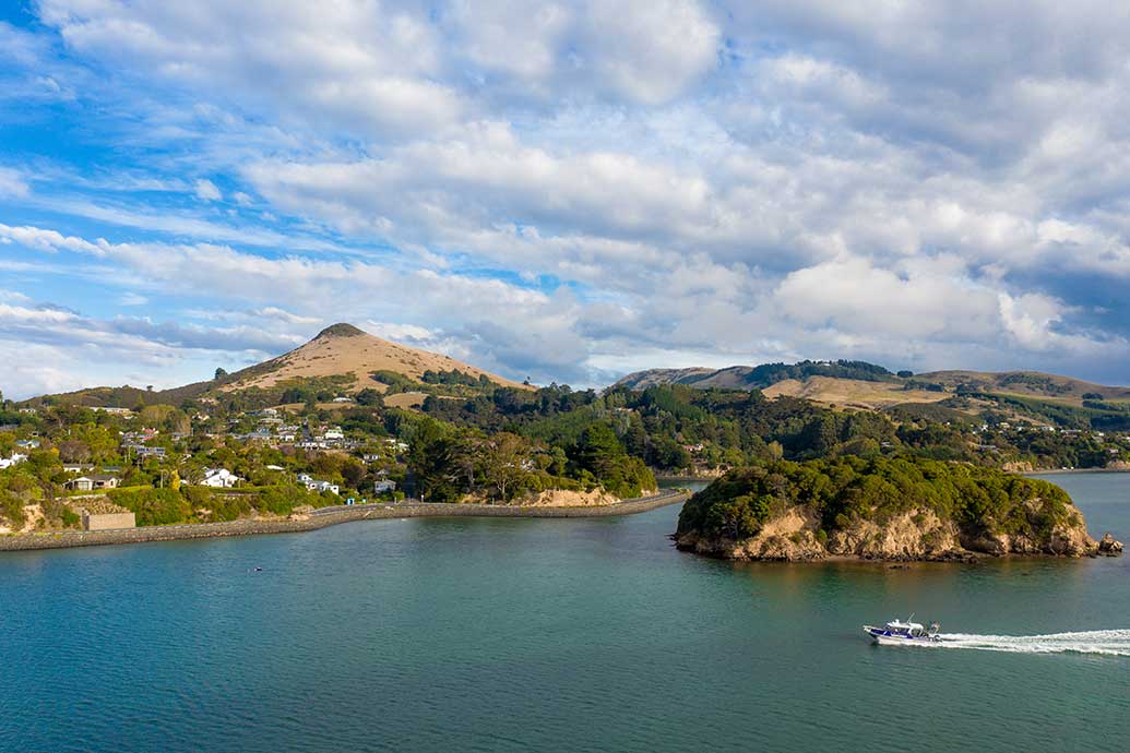 An island holiday - in Dunedin An island holiday - in Dunedin