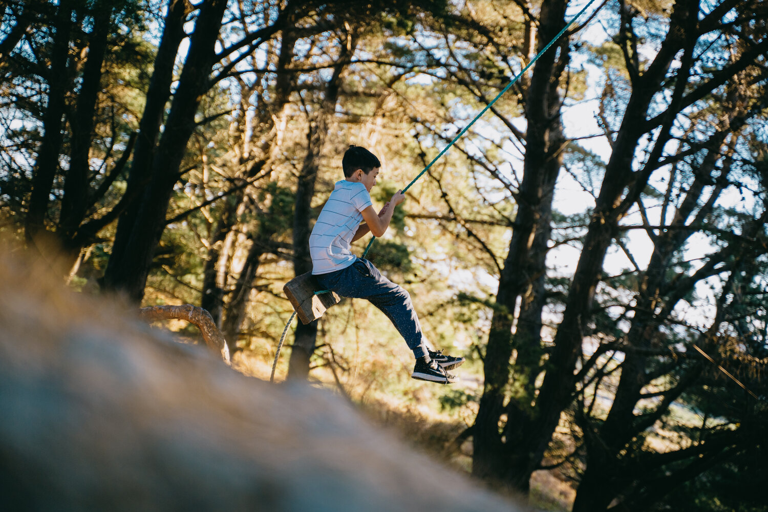 hidden-rope-swings-of-dunedin-1.jpg Hidden rope swings of Dunedin
