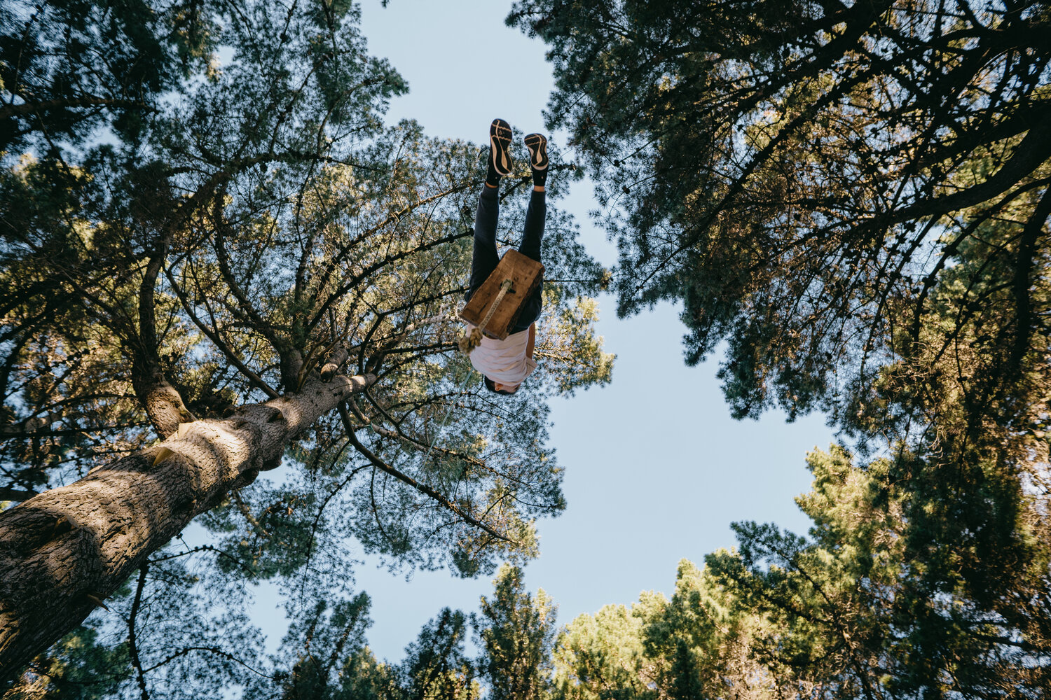 hidden-rope-swings-of-dunedin-2.jpg Hidden rope swings of Dunedin