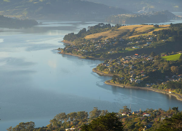 Macandrew Bay