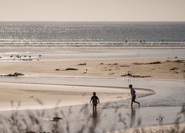Purakanui beach