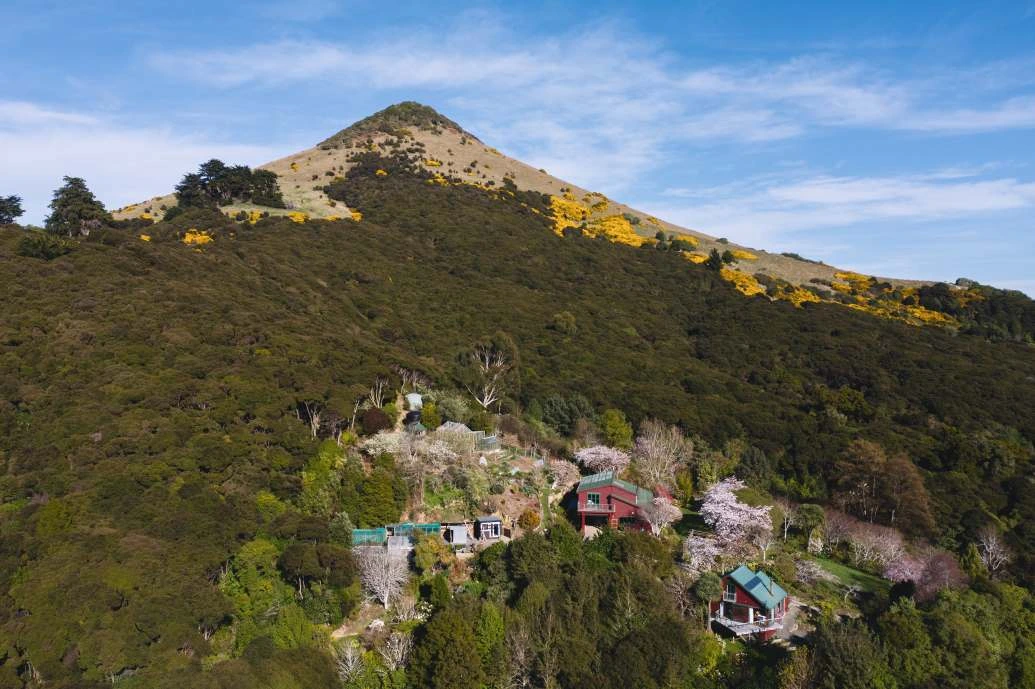 Hereweka Garden